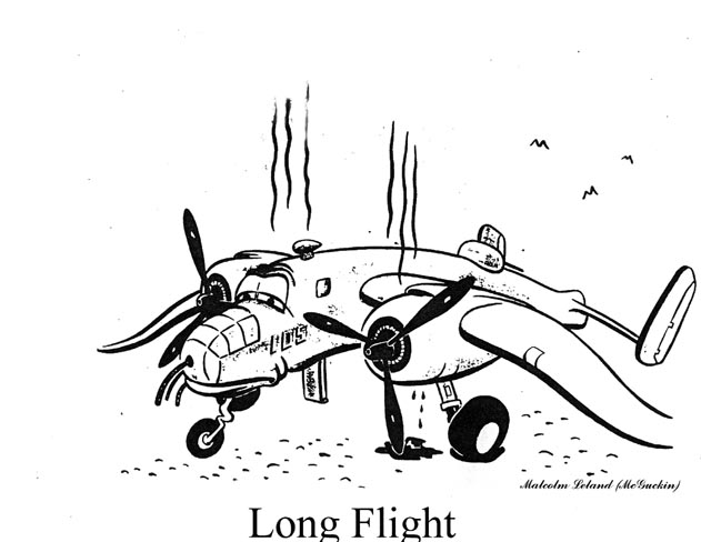 Long Flight